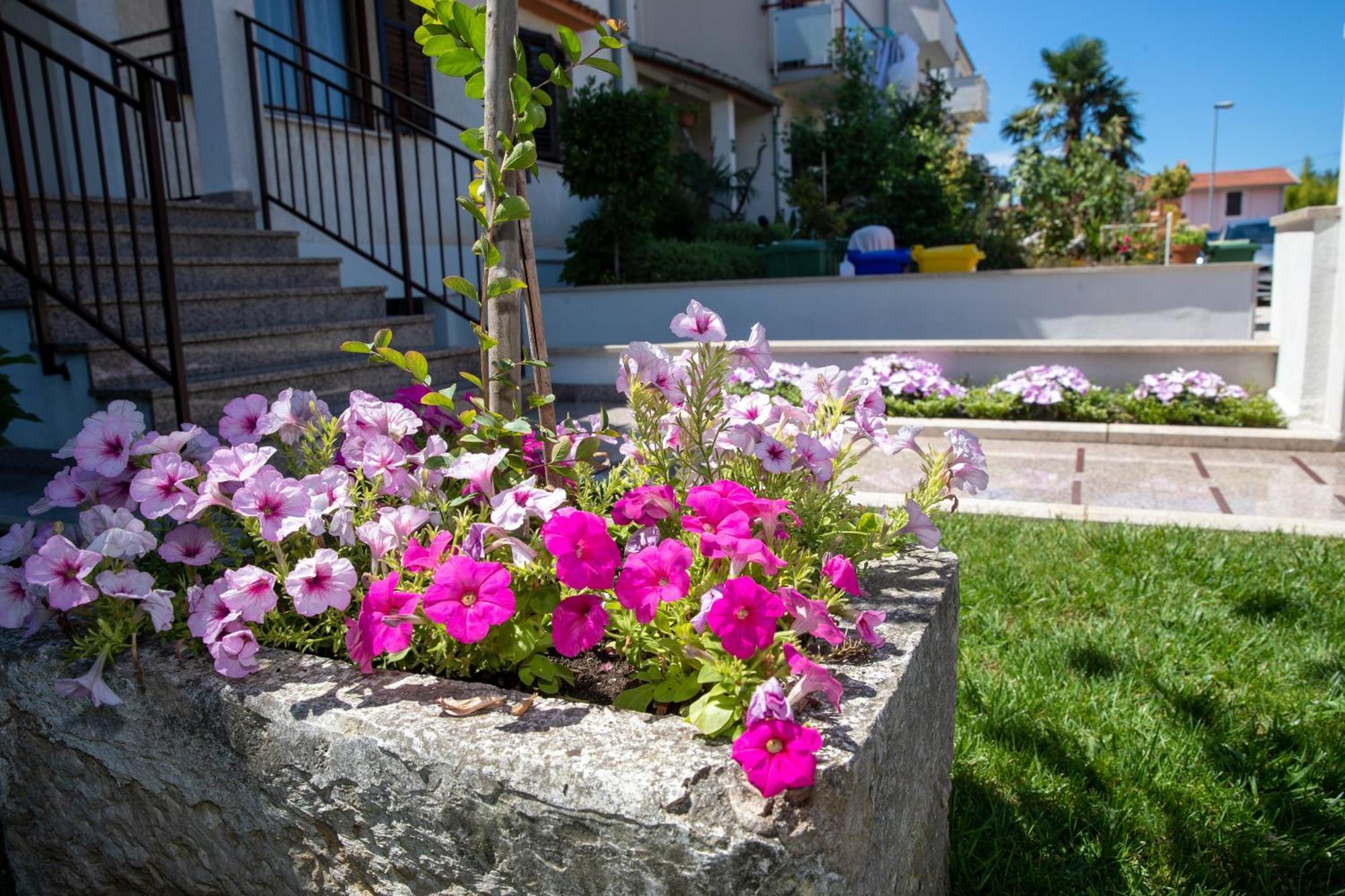 Studio Noah Rovinj Exterior foto